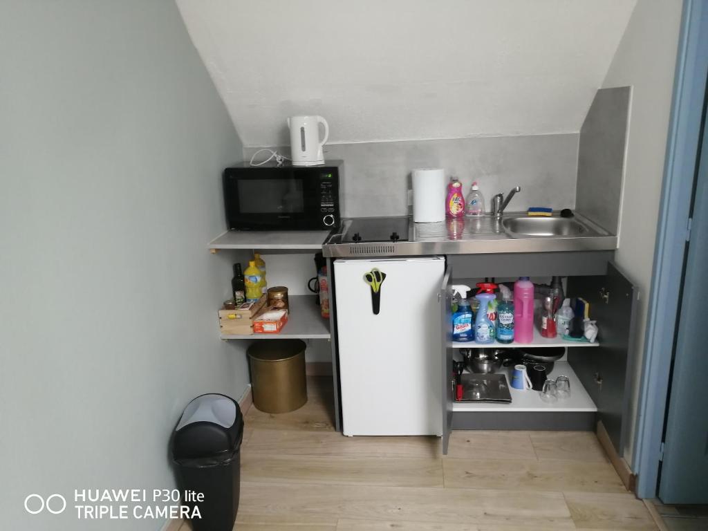 a small kitchen with a refrigerator and a microwave at Studio grand lit 160 tout équipé wifi in Le Creusot