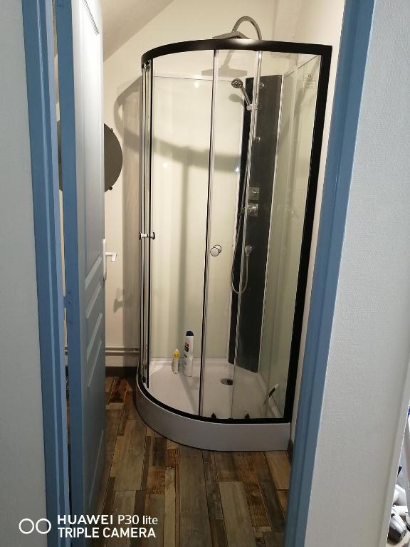 a shower with a glass door in a bathroom at Studio grand lit 160 tout équipé wifi in Le Creusot