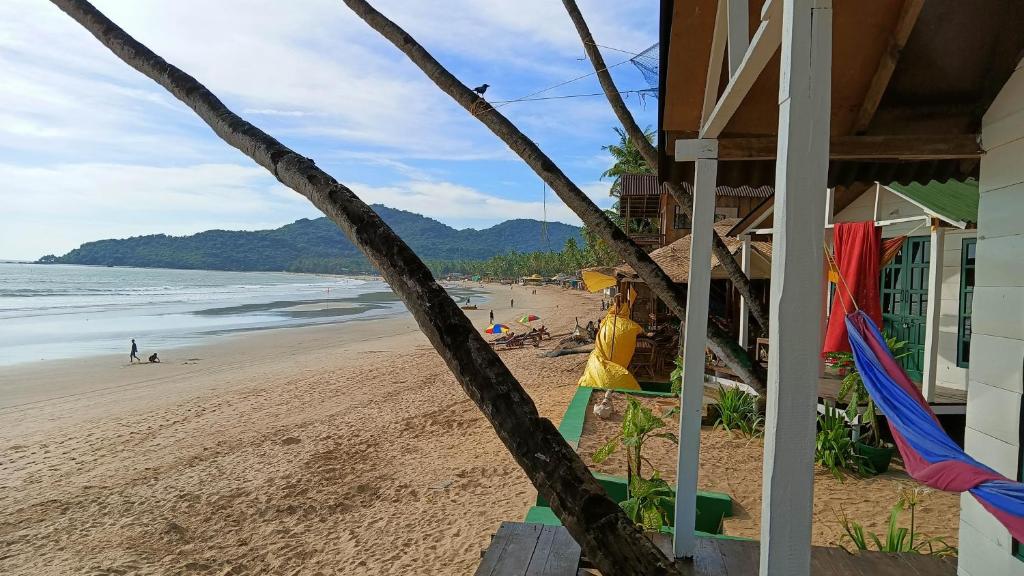 Fotografie z fotogalerie ubytování The Nest Palolem v destinaci Canacona