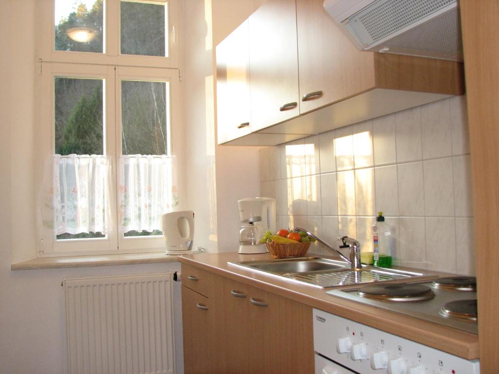 Kuchyň nebo kuchyňský kout v ubytování Hotel Garni Dekorahaus