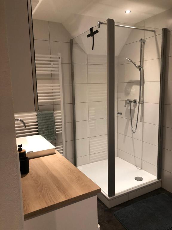 a bathroom with a shower and a sink at Ferienwohnung am Eggegebirge in Bad Driburg