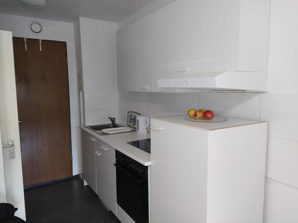 małą kuchnię z białymi szafkami i czarnym urządzeniem w obiekcie B006 Schöne, helle Ferienwohnung w mieście Lahnstein