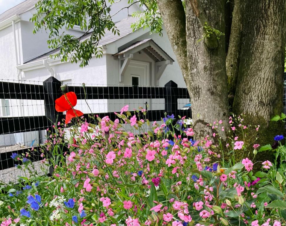 um jardim de flores em frente a uma casa em Beech Tree Cottage 