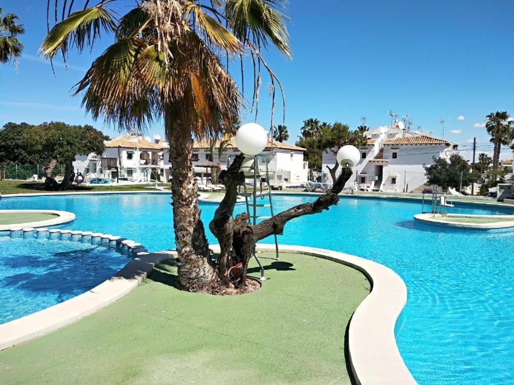 a palm tree in the middle of a swimming pool at Charmant rez-de-chaussée et piscine bar-restaurant in Alicante