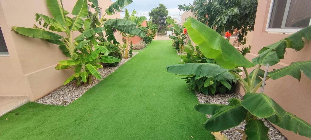 Modular Bungalows With Heated Pool Artemis Greece - 10