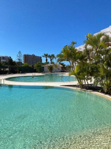 duży basen z palmami w obiekcie Luxury San Marino apartment & pool view w mieście Los Cristianos