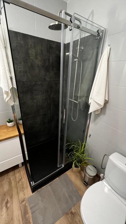 Kúpeľňa v ubytovaní Wypoczynek w Jantarze