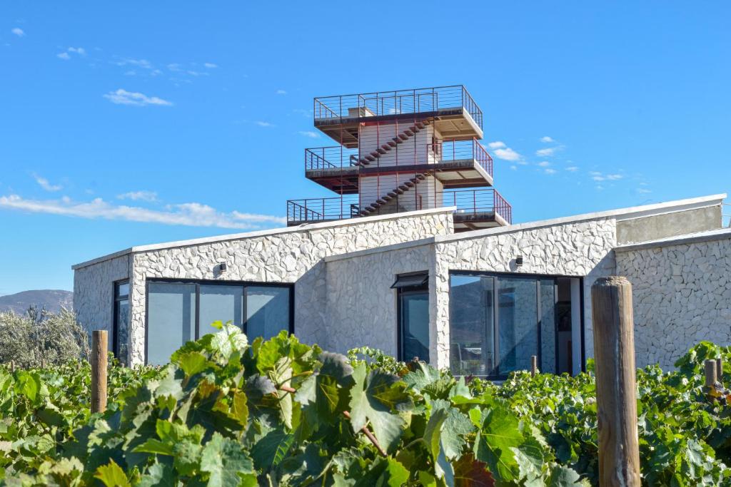 um edifício com uma torre no meio de uma vinha em Viñedo Casa la Noria em El Porvenir