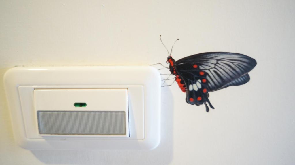 Fotografie z fotogalerie ubytování Butterfly B&B v destinaci Manzhou