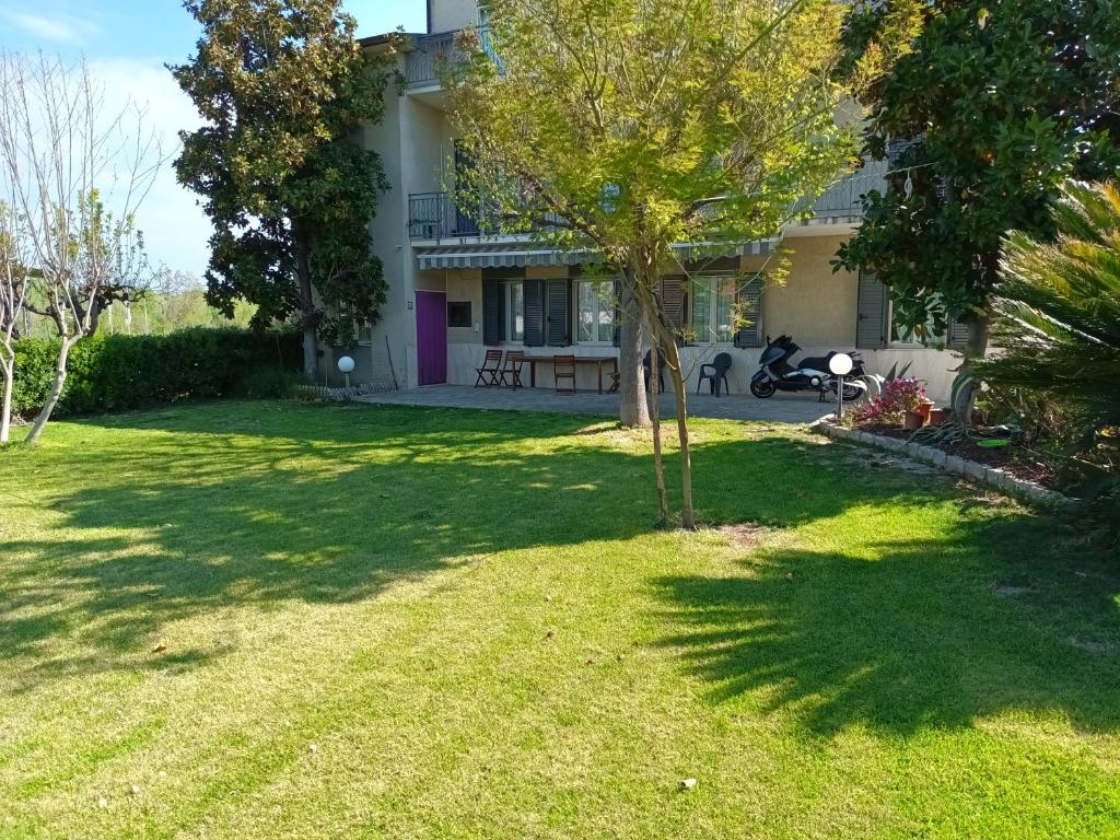 un pequeño árbol en el patio de una casa en La CASA degli IPPOCASTANI, en Colonnella