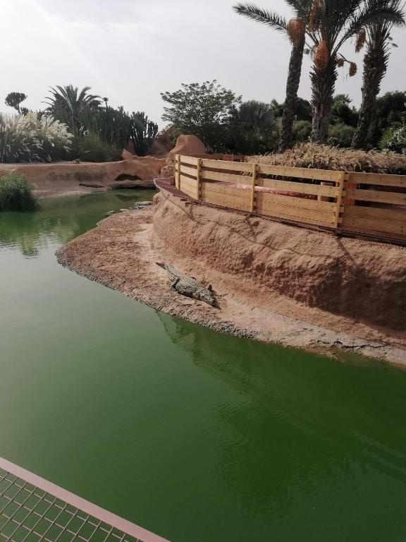 Mooie appartement ligt 8km van Het strand