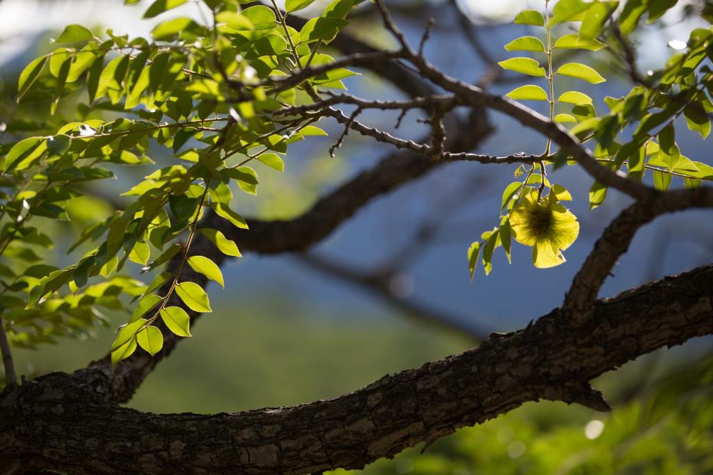 Paesaggio naturale nelle vicinanze dell'affittacamere