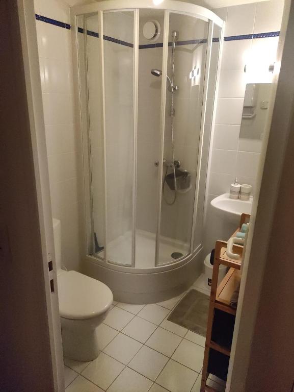a bathroom with a shower with a toilet and a sink at Très joli Studio refait à neuf au calme in Saint-Martin-Vésubie