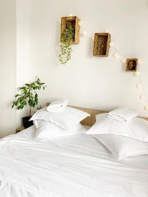 Cozy Flat Right Next To Bucharests Central Park