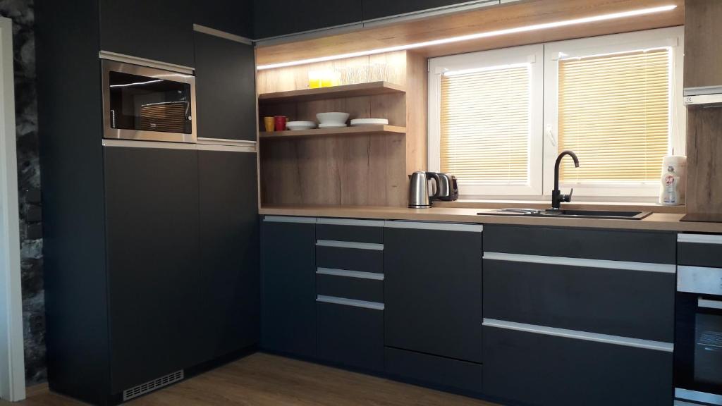 Kuchyň nebo kuchyňský kout v ubytování Vila Věkoše - apartmán s terasou a zahradou