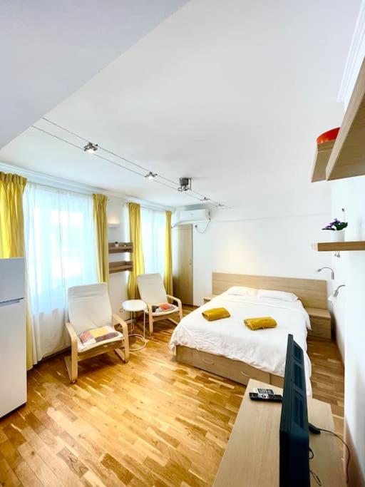 Boutique apartment in the Bucharest city center - 一居室公寓