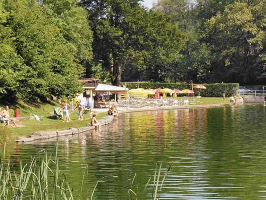 Příroda nedaleko apartmánu
