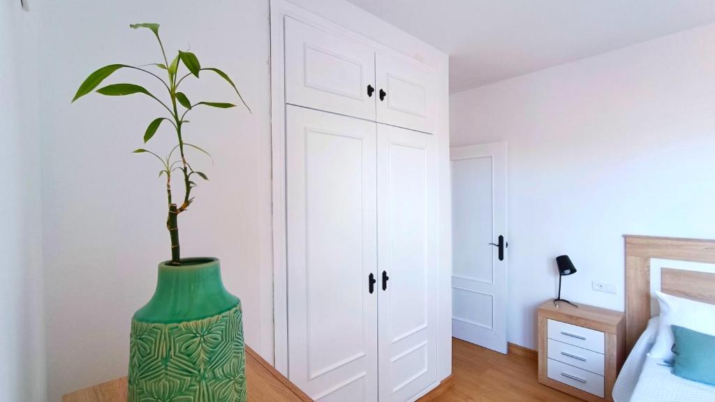 zieloną wazę z rośliną w sypialni w obiekcie Ático Deluxe Granada, Parking gratis y Terraza w mieście Armilla