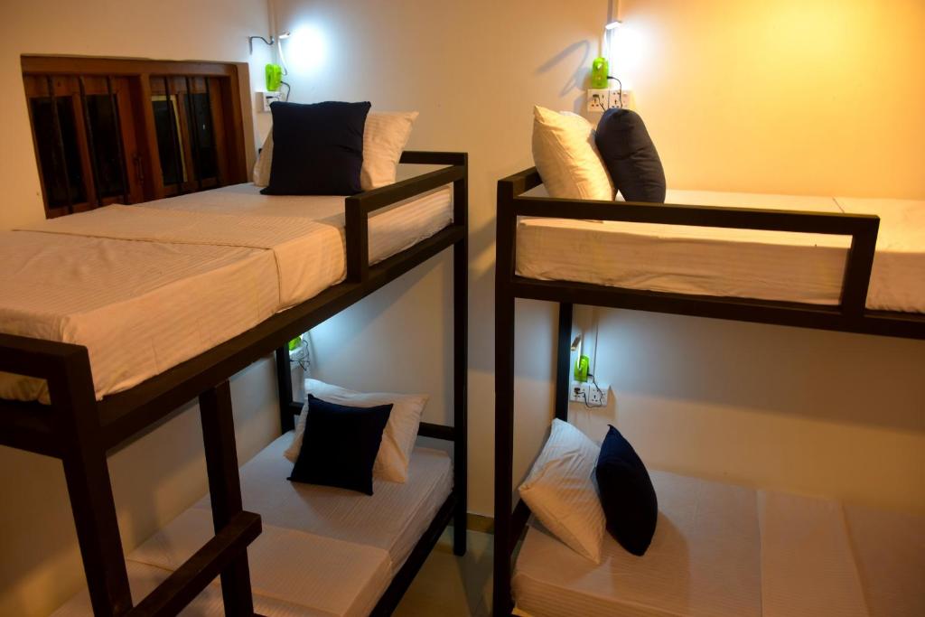 A bunk bed or bunk beds in a room at Funky Leopard Safari Lodge Bordering Yala National Park