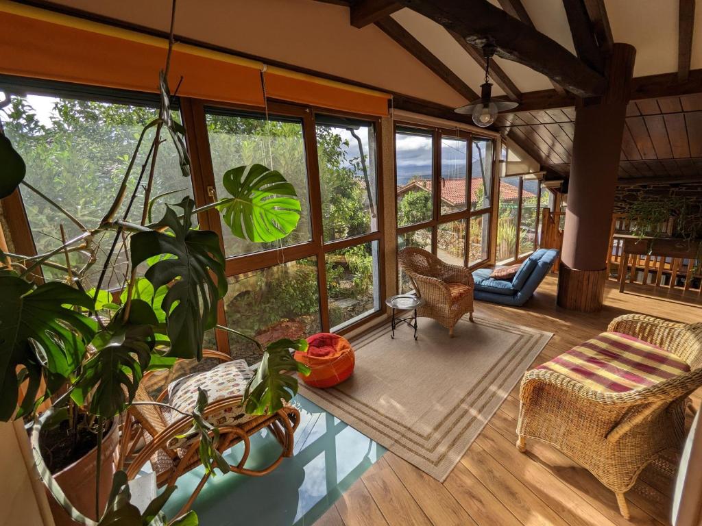 Francos的住宿－Casa do Estevo，客厅配有桌子和一些植物