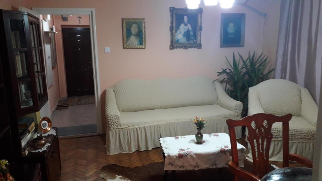 ein Wohnzimmer mit einem Sofa und einem Tisch in der Unterkunft Cozy, central 1-bedroom apartment in Timisoara, Romania in Timişoara