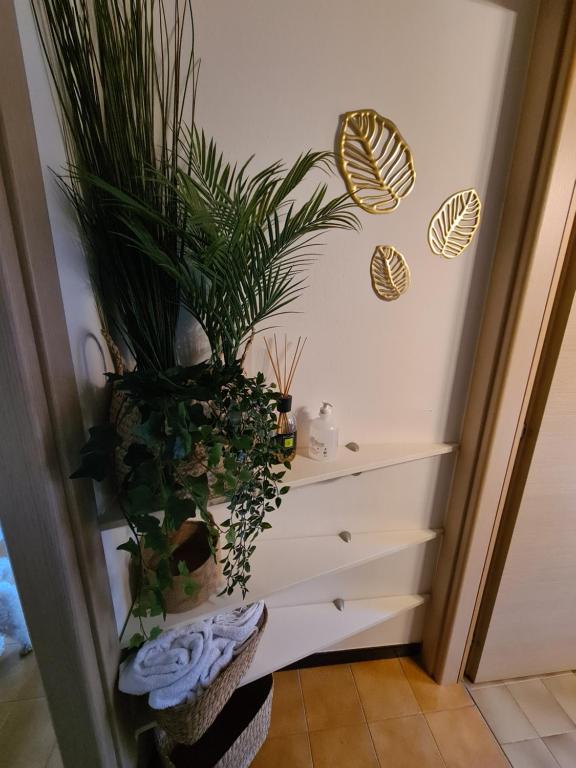 klatka schodowa z roślinami i roślinami w pokoju w obiekcie Terrazza vicino al mare w Rimini