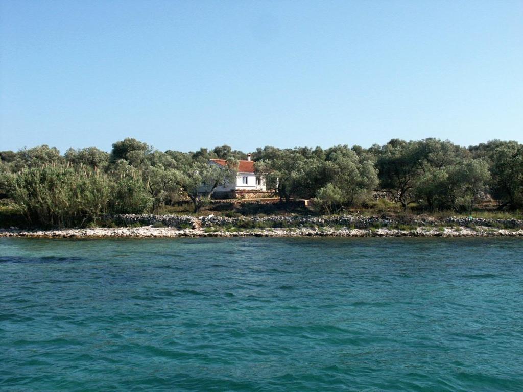 Žman的住宿－Secluded fisherman's cottage Krknata, Dugi otok - 397，水中小岛上的房子