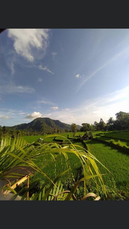 Ume Dukuh Home Sidemen - 14