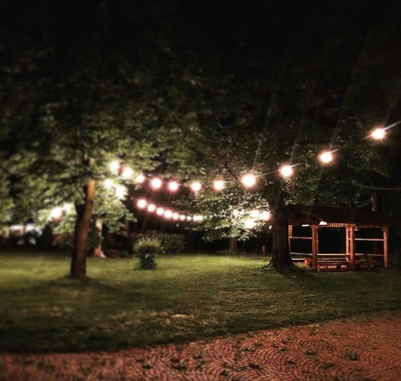 Um jardim no exterior de Tommy Vitello camere