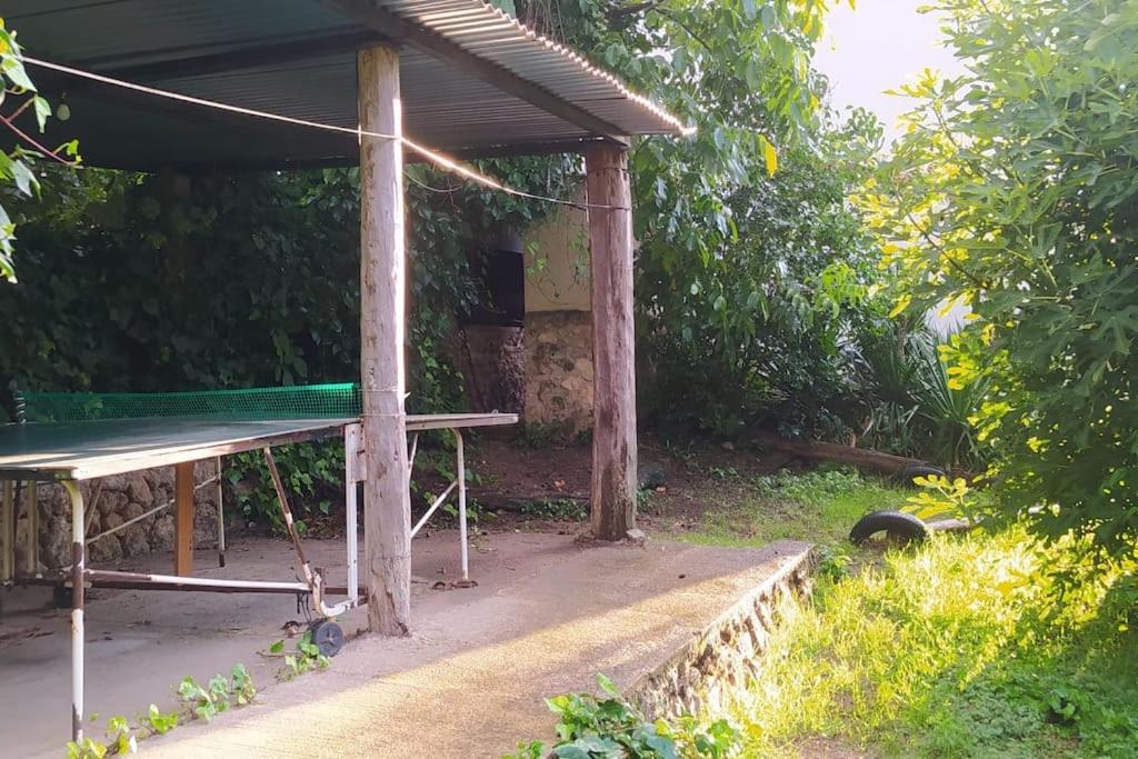 Vonkajšia záhrada v ubytovaní Las Casicas del Tío Ángel-A