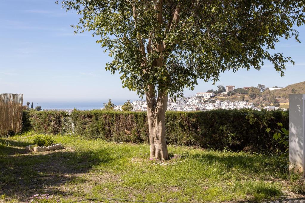 Fotografie z fotogalerie ubytování Villa Benama v destinaci Torrox