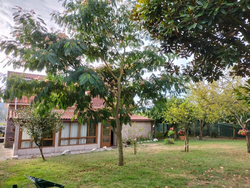 uma casa com uma árvore em frente em Casa Rural A Telleira em A Estrada