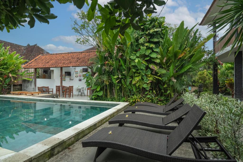 Green Papaya House - 14