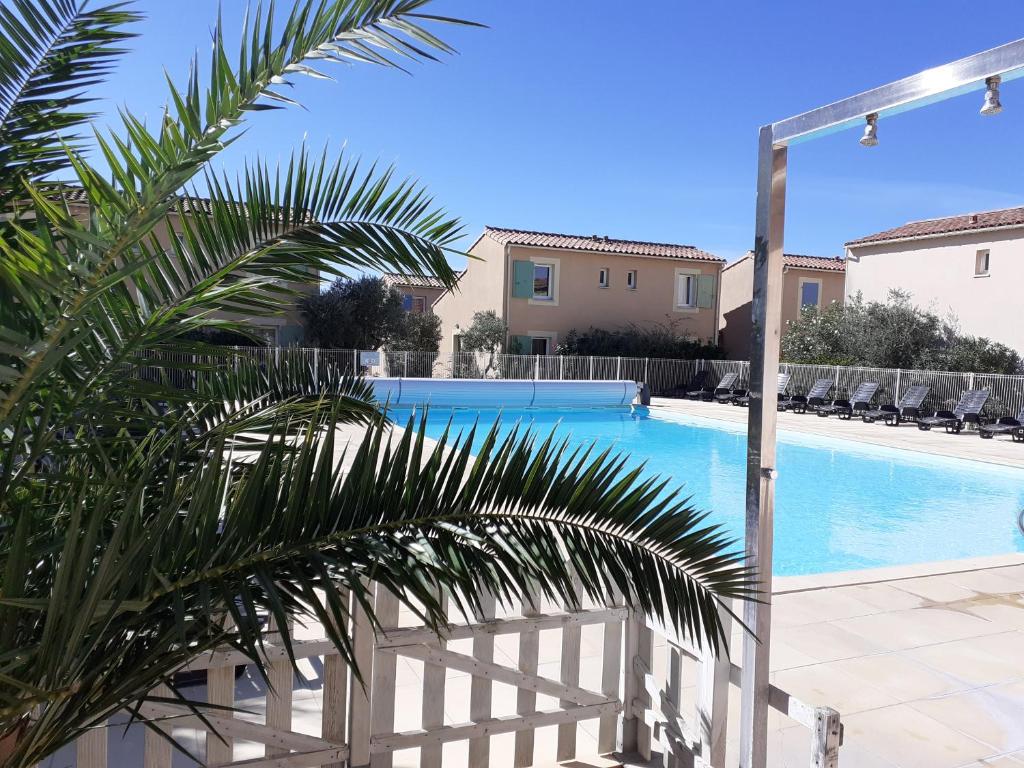 a swimming pool in a villa with a palm tree at Sous le soleil des Alpilles in Mouriès