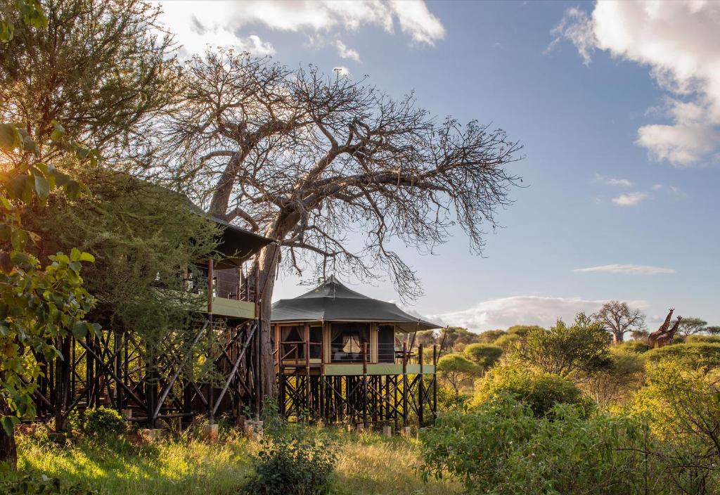 a house in the middle of a field at TARANGIRE KURO TREETOP LODGE in Manyara