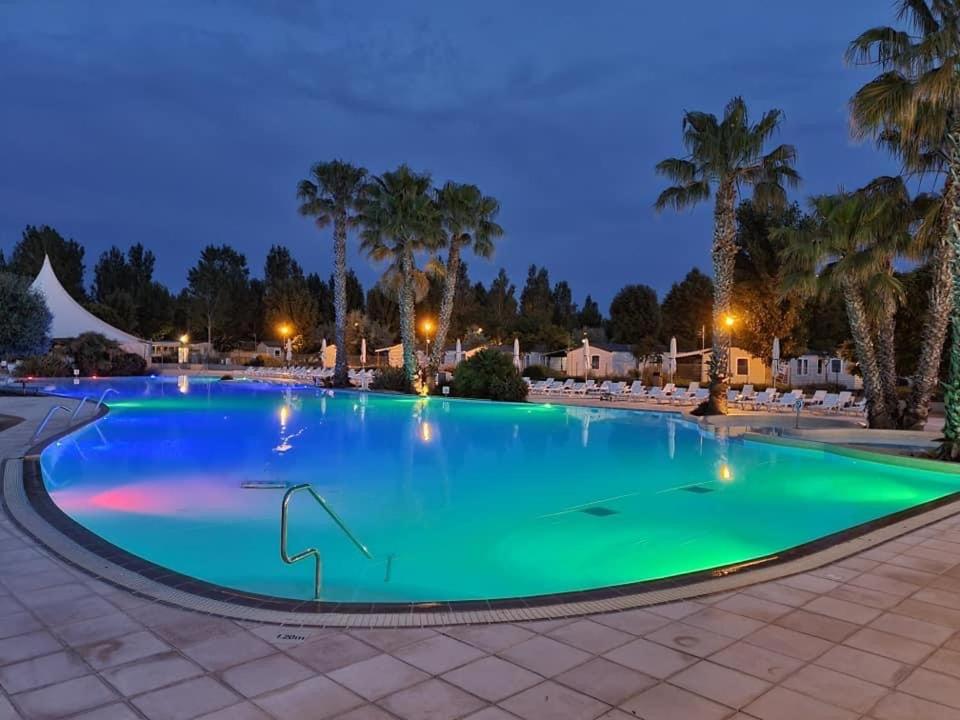 - une grande piscine avec des palmiers la nuit dans l'établissement Vacance à la Carabasse, à Vias