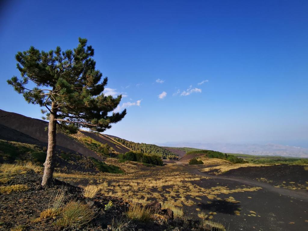 Fotografia z galérie ubytovania Mare e Etna in Fondachello v destinácii Mascali