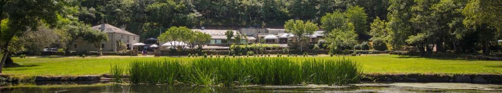 a pond with tall grass in front of a house at Fervenza Casa Grande & Restaurante in Reguengo