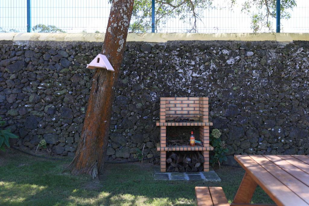 Fotografie z fotogalerie ubytování Parrots`Village v destinaci Rabo de Peixe