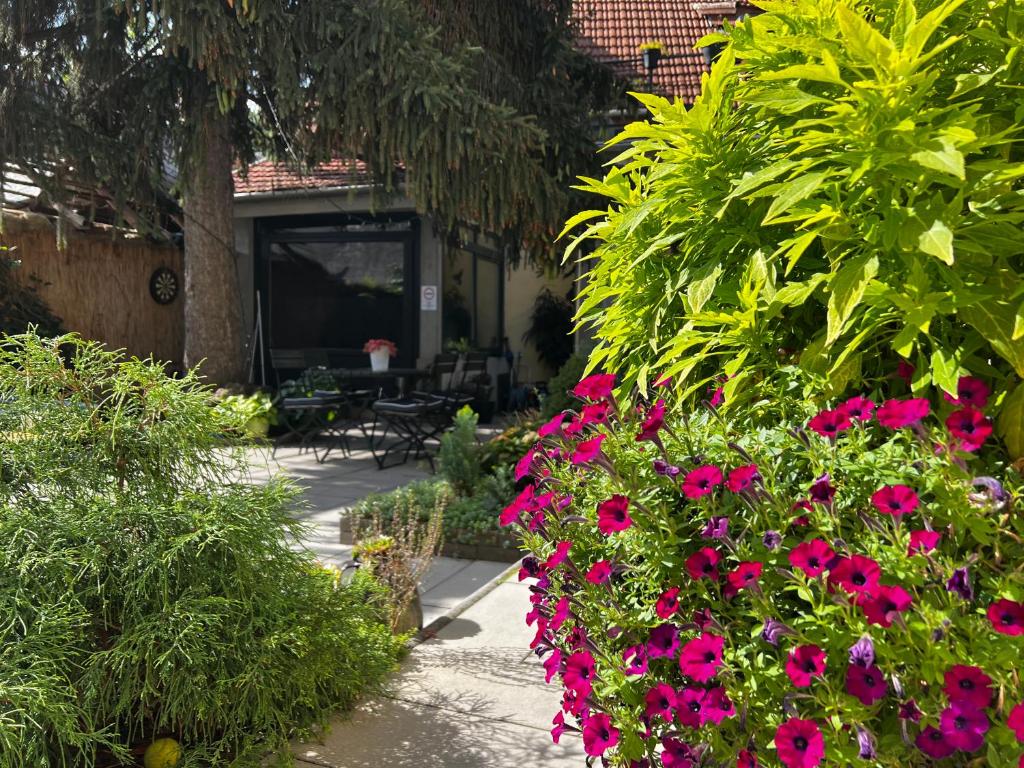 Zahrada ubytování Margaréta Garden & SPA
