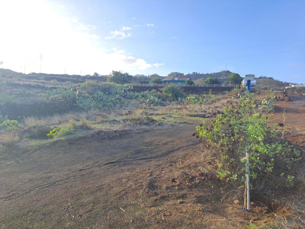 a dirt field with a tree and a truck in the background at Las casitas de Pao in El Pinar del Hierro