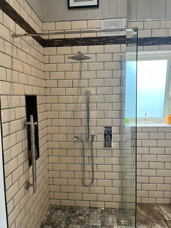 a bathroom with a shower with a glass door at Stone Lodge B&B in Balrath