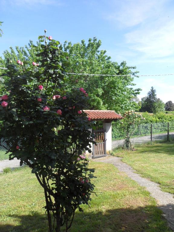 Zahrada ubytování B&B Cuei di Baret