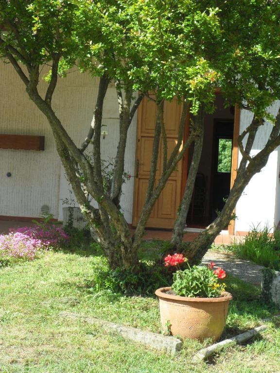 Zahrada ubytování B&B Cuei di Baret