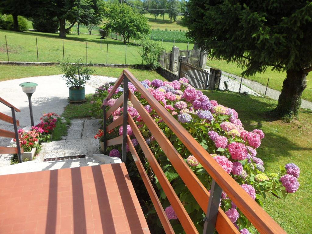 Zahrada ubytování B&B Cuei di Baret