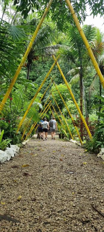 a group of people walking down a path in the jungle at Nawal in Lanquín