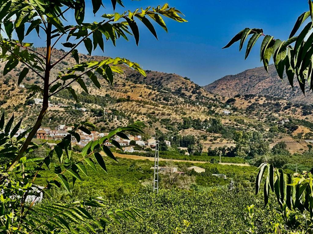 Fotografie z fotogalerie ubytování Finca Limoneros v destinaci Alora