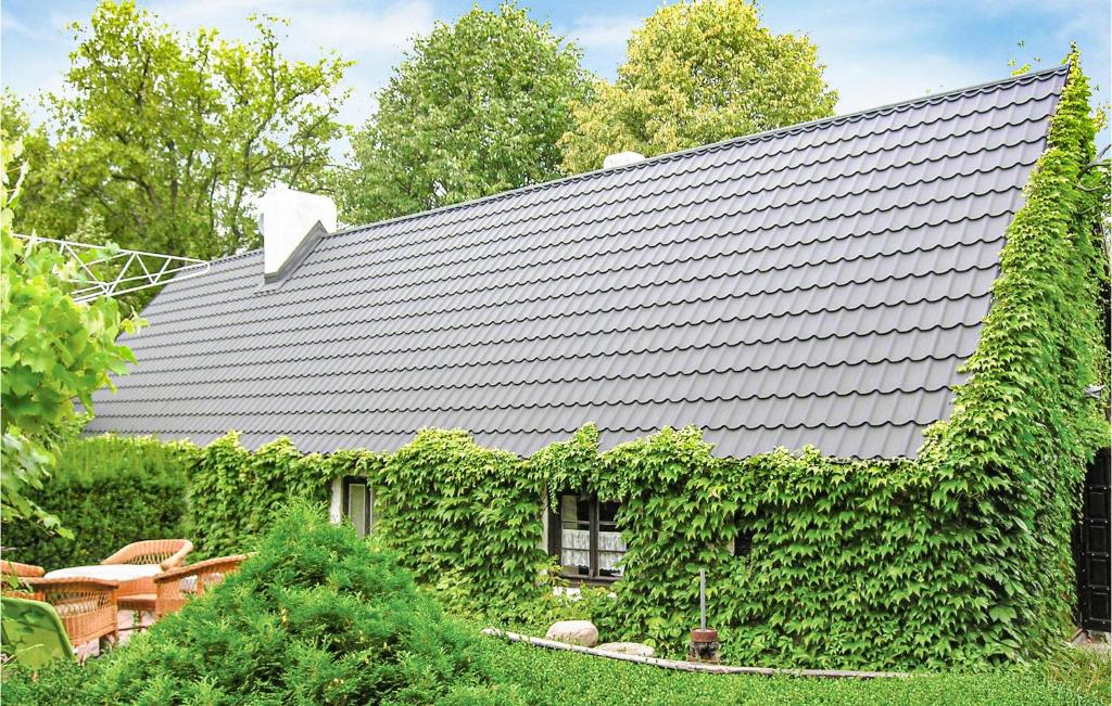 a house with an ivy covered roof at Awesome Home In Pleszew With Wifi in Zawidowice