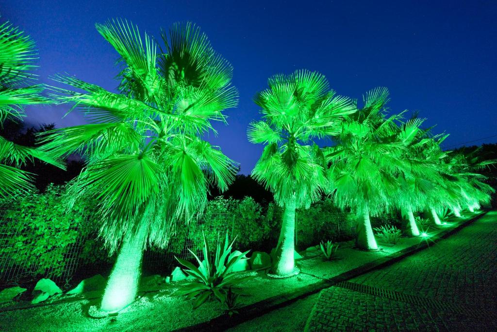 a row of palm trees lit up at night at Appartement Villa Quietude in Bagnols-en-Forêt