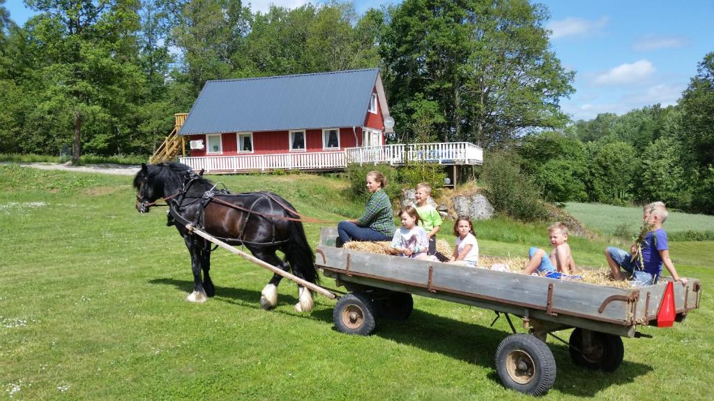 Hosté ubytování Landhouse